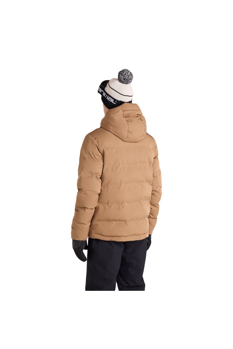 Polar Ski Jacket, Alternate, color, Brown