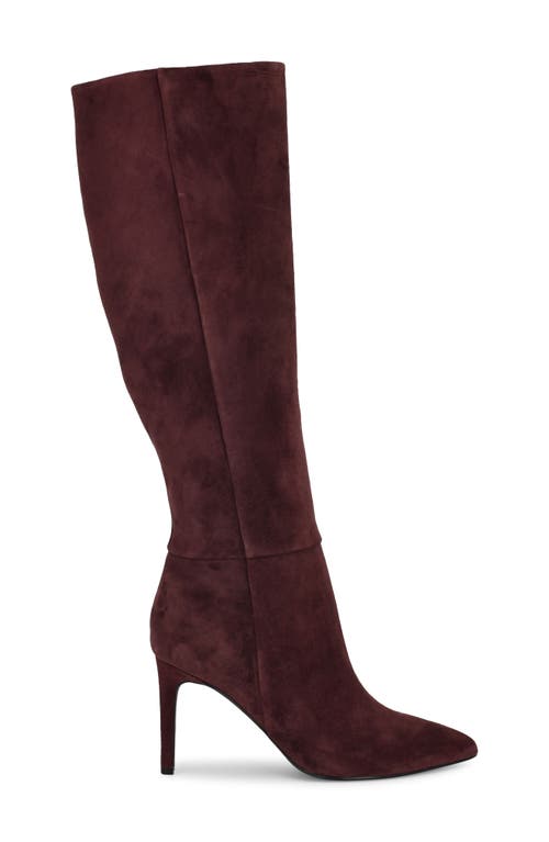 Nine West Richy Pointed Toe Knee High Boot