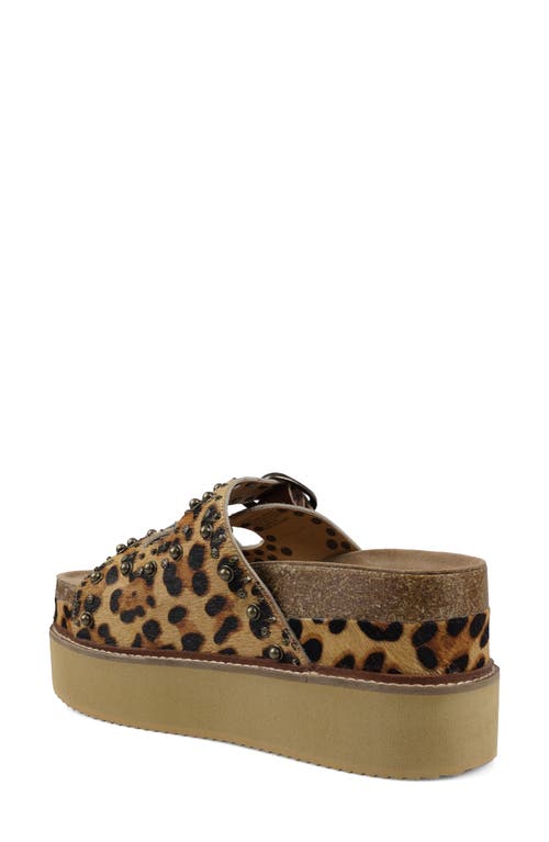 Zigi Studded Platform Sandal In Brown