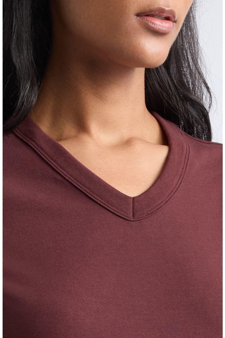 Devin Short Sleeve V-Neck Tee, Alternate, color, RAISIN