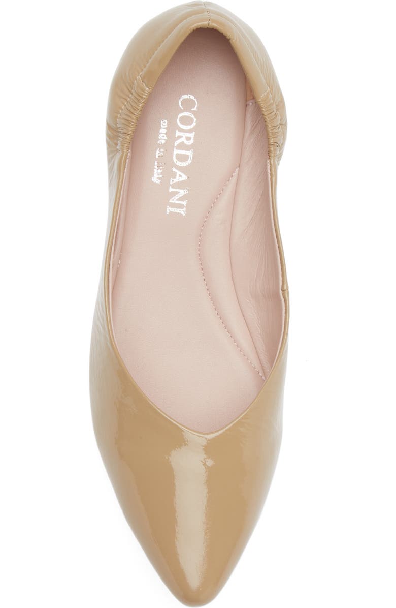 Cordani Mavis Pointed Toe Flat, Alternate, color, Creta