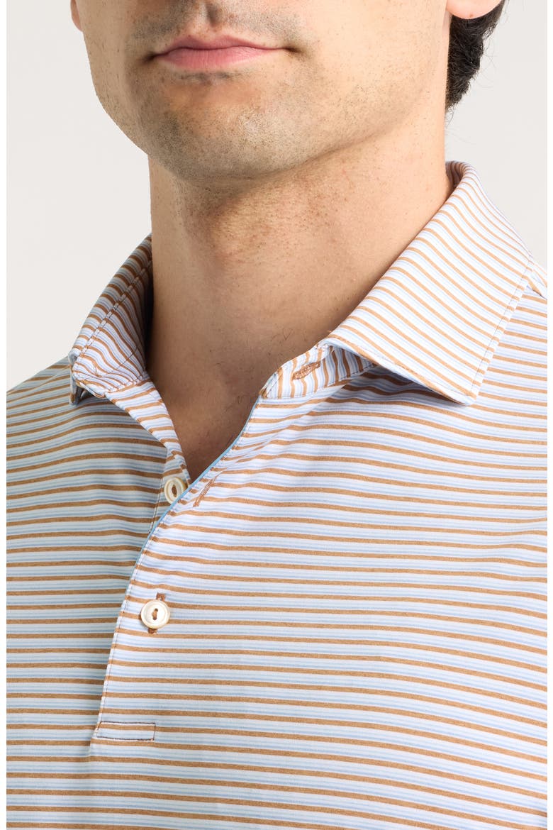 Brooks Stripe Summer Comfort Performance Jersey Polo, Alternate, color, DARK AMBER