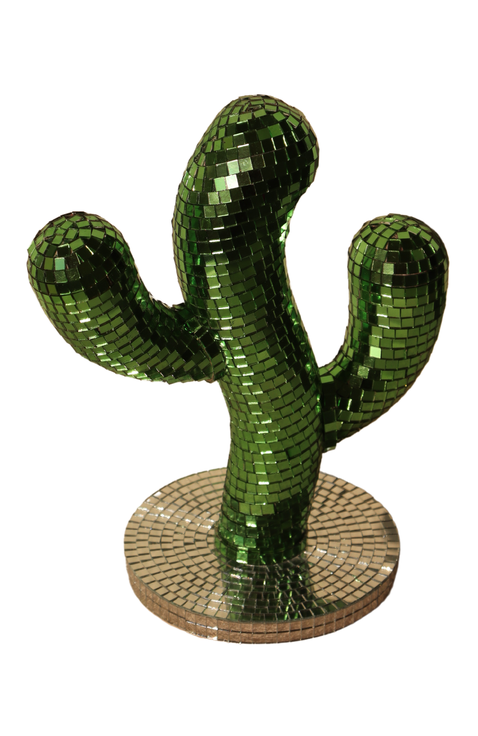 Disco Cactus