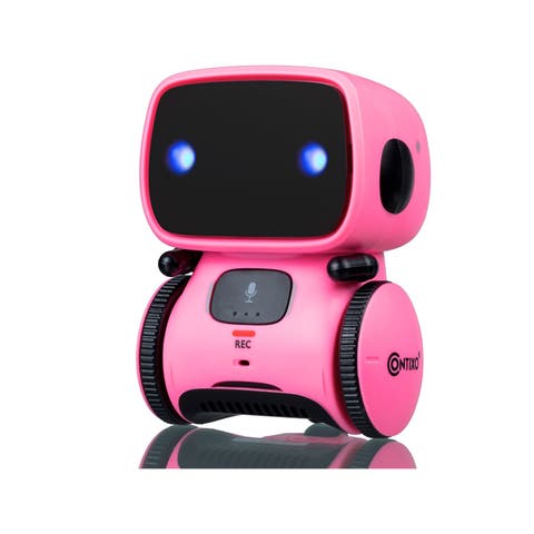 AI Learning Robot