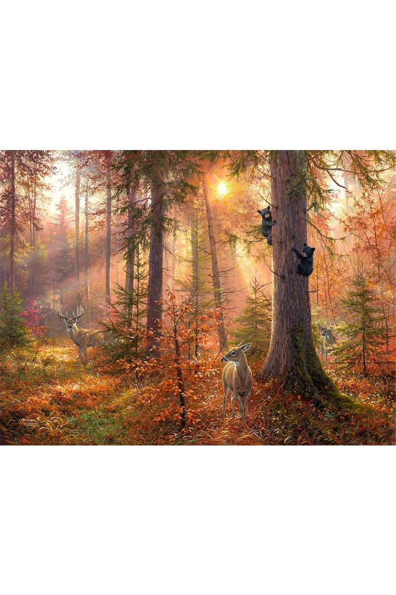 Forest Light 300 piece Jigsaw Puzzle for Adults, Alternate, color, Multicolor