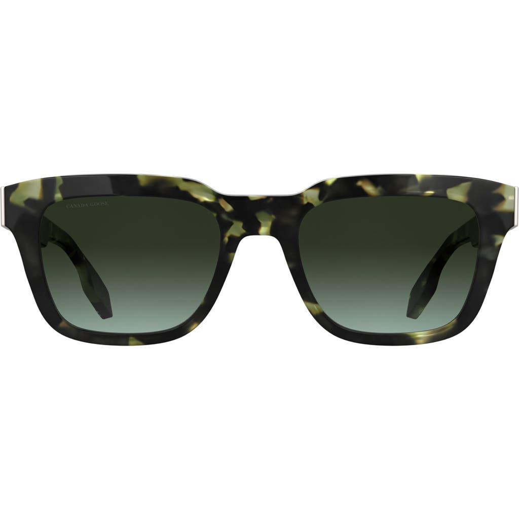 Canada Goose 52mm Rectangular Sunglasses in Havana Khaki  product