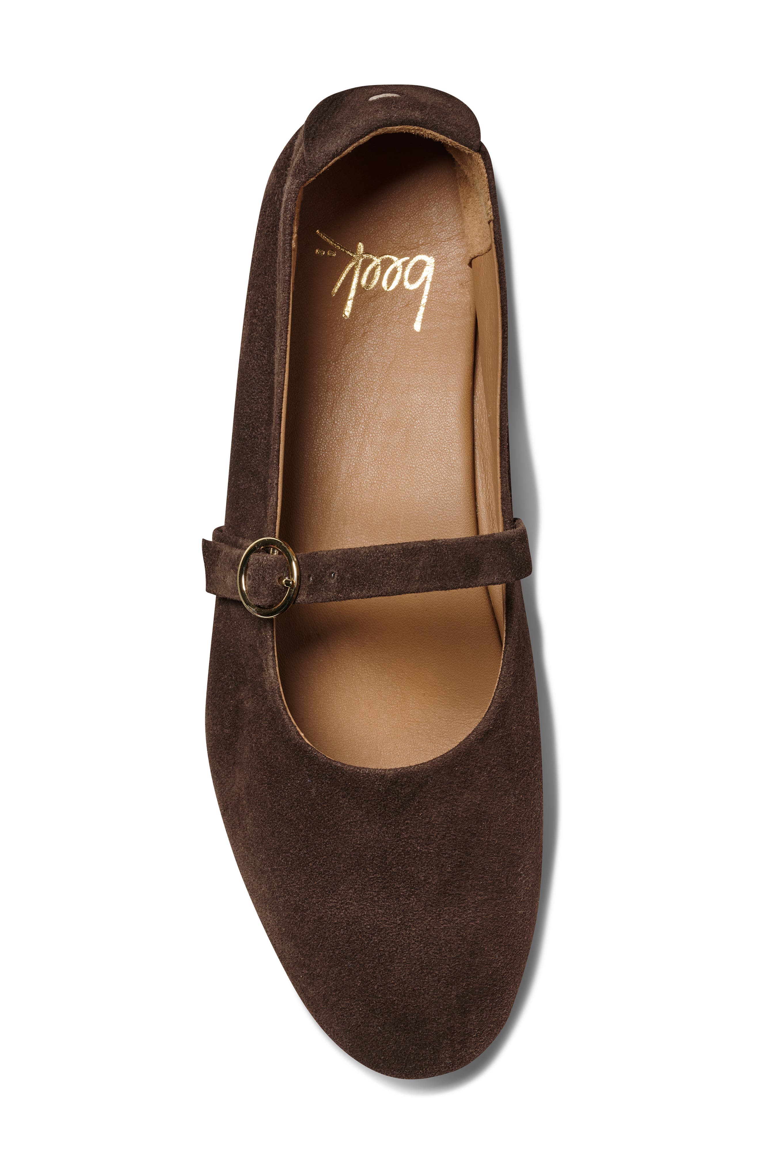 Snipe Mary Jane Flat, Alternate, color, COFFEE