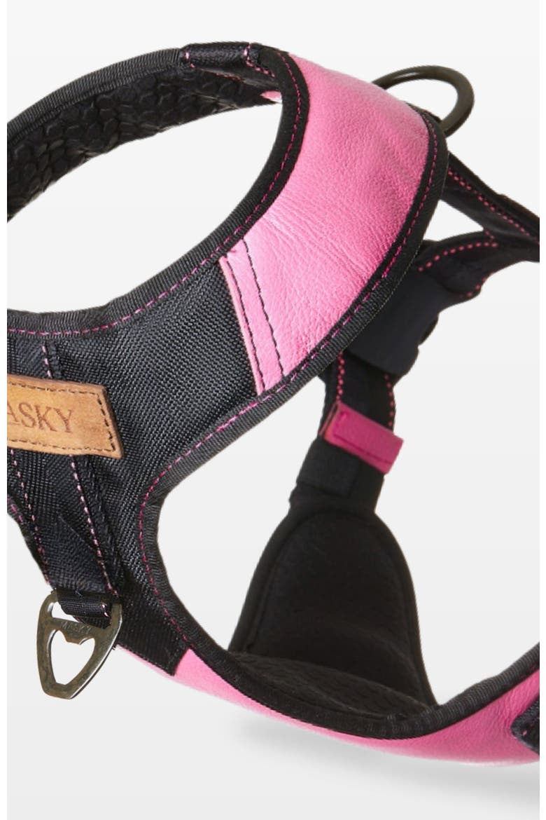 Bold Control Leather Harness, Alternate, color, Bright Pink