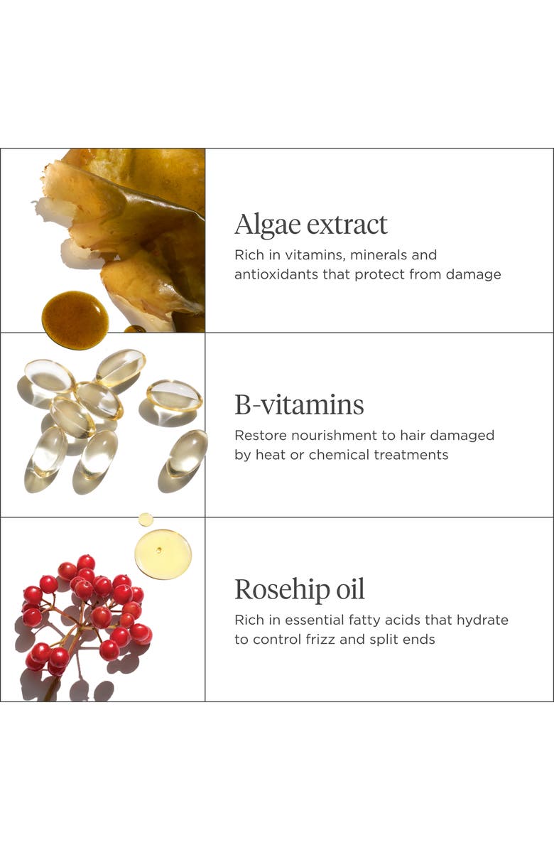 Briogeo Don't Despair, Repair!<sup>™</sup> Strengthening Travel Kit for Dry + Damaged Hair, Alternate, color,