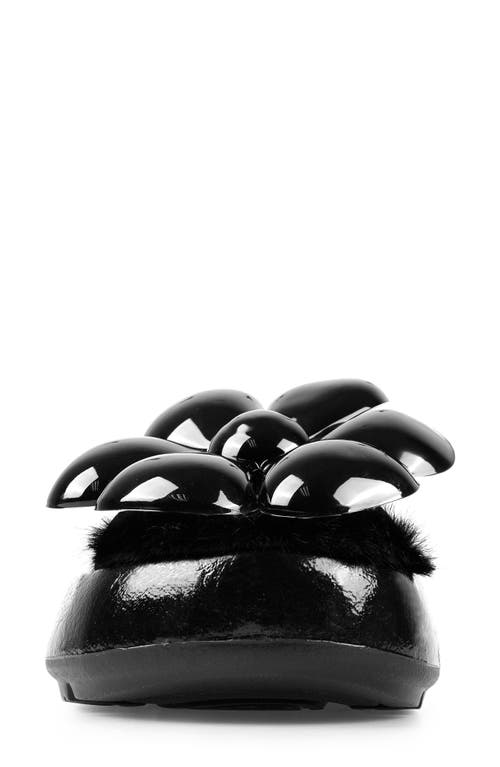 Shop Zigi Cass Faux Fur Lined Sandal In Black