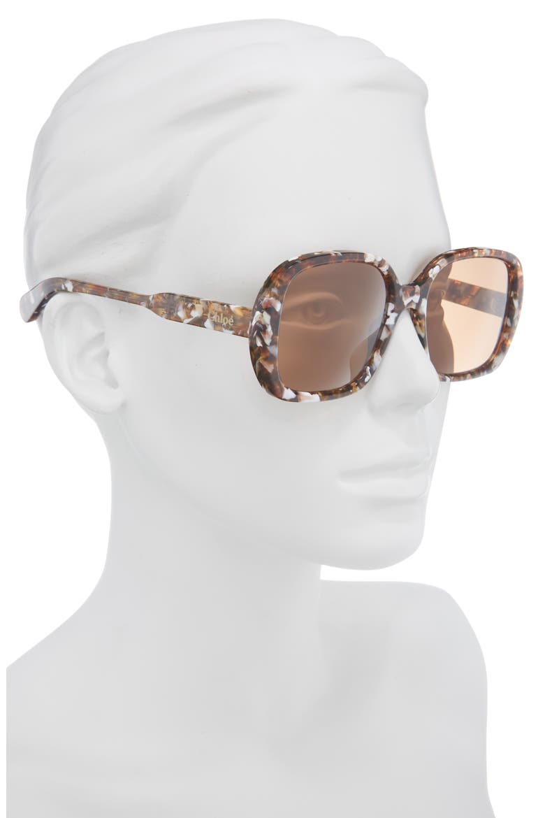 Square Sunglasses, Alternate, color, HAVANA HAVANA BROWN