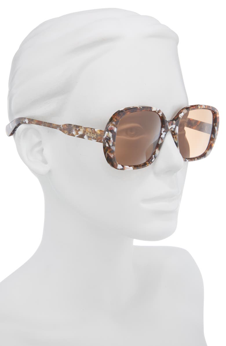 Chloé Square Sunglasses, Alternate, color, Havana Havana Brown