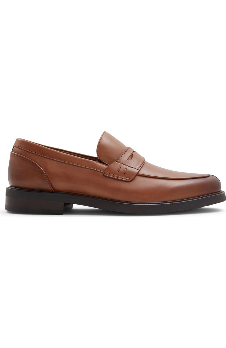 ALDO Sullivan Penny Loafer, Alternate, color,