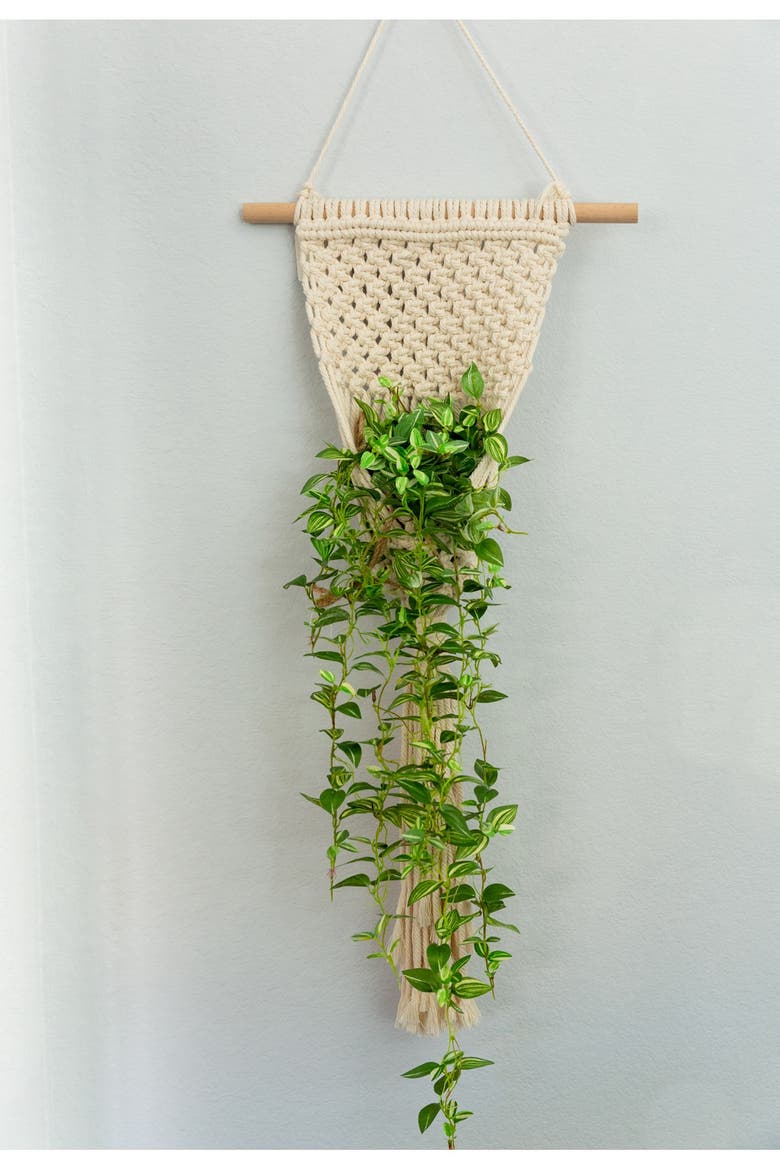 33" Macramé Plant Hanger, Alternate, color, WHITE