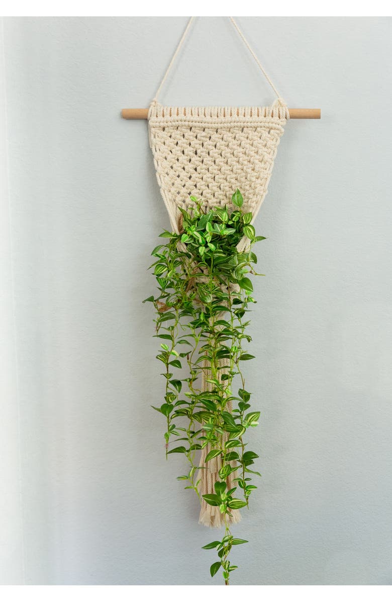 FLORA BUNDA 33" Macramé Plant Hanger, Alternate, color, White