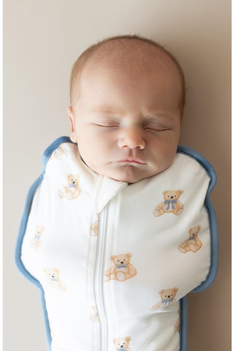Teddy Bear 0.5 TOG Swaddle Bag, Alternate, color, TEDDY BEAR