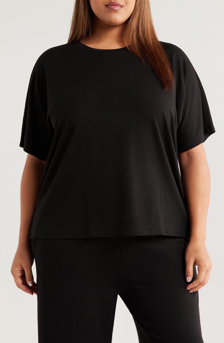Eileen Fisher Boxy Crewneck T-Shirt, Main, color, 
