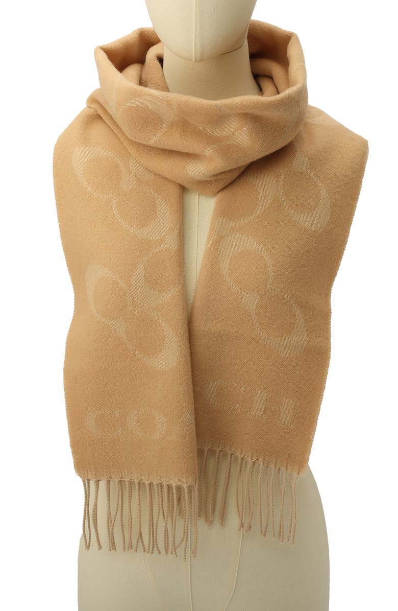 COACH Bias Signature C Wool & Cashmere Muffler Scarf, Alternate, color, 