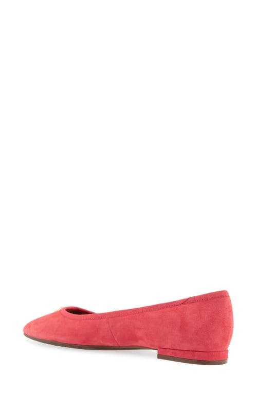 AEROSOLES AEROSOLES ARENA BALLET FLAT