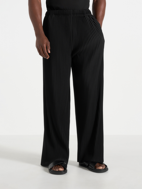 Jonas Pleated Wide Leg Pants