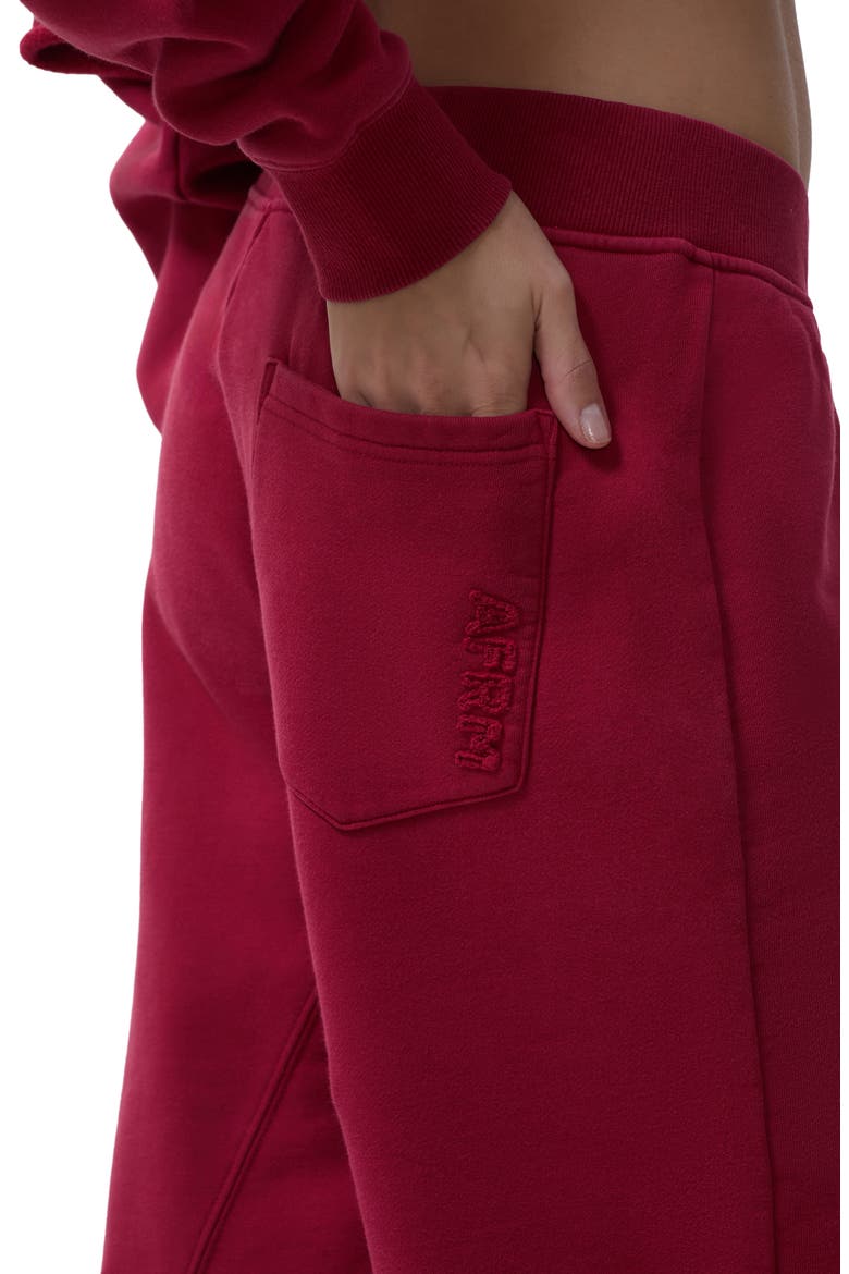 Dustin V-Waist Wide Leg Sweatpants, Alternate, color, RIO RED