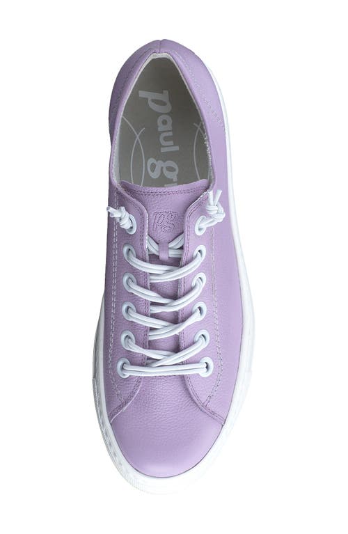Paul Green Hadley Platform Sneaker In Lavendar Leather