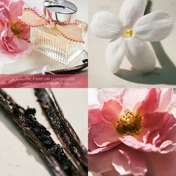 Signature Fragrance Minis Set