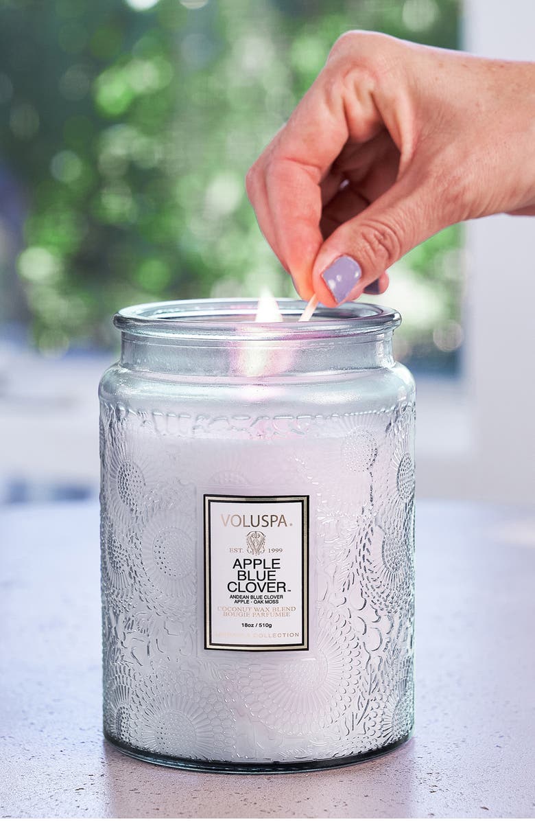 Voluspa Apple Blue Clover Large Jar Candle, Alternate, color, 