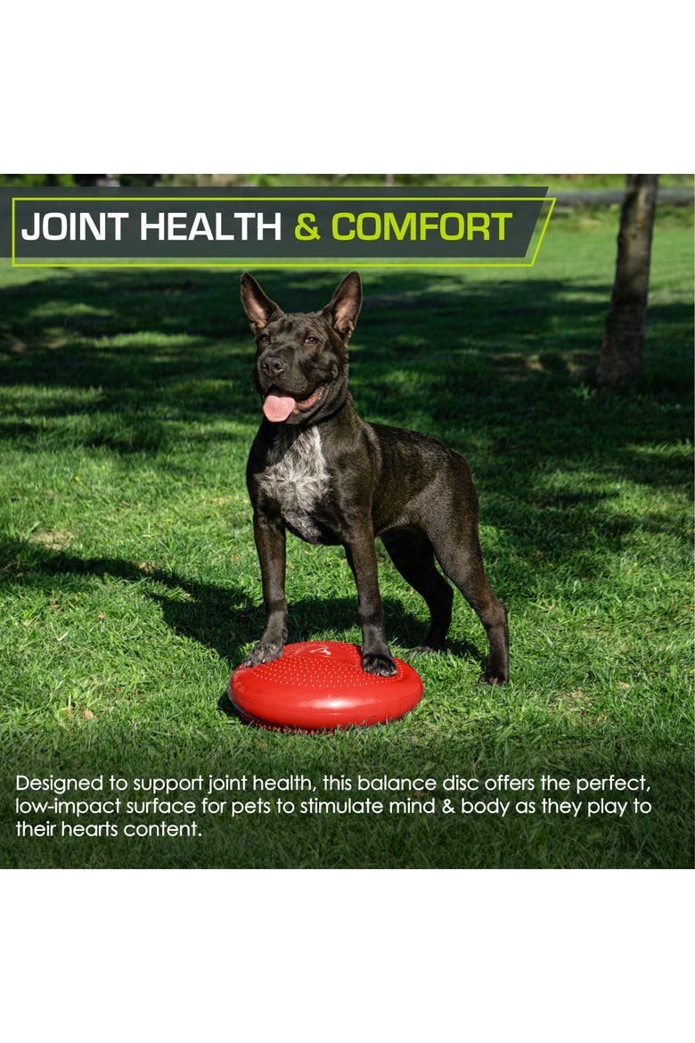 Core Balance Disc, Alternate, color, Red