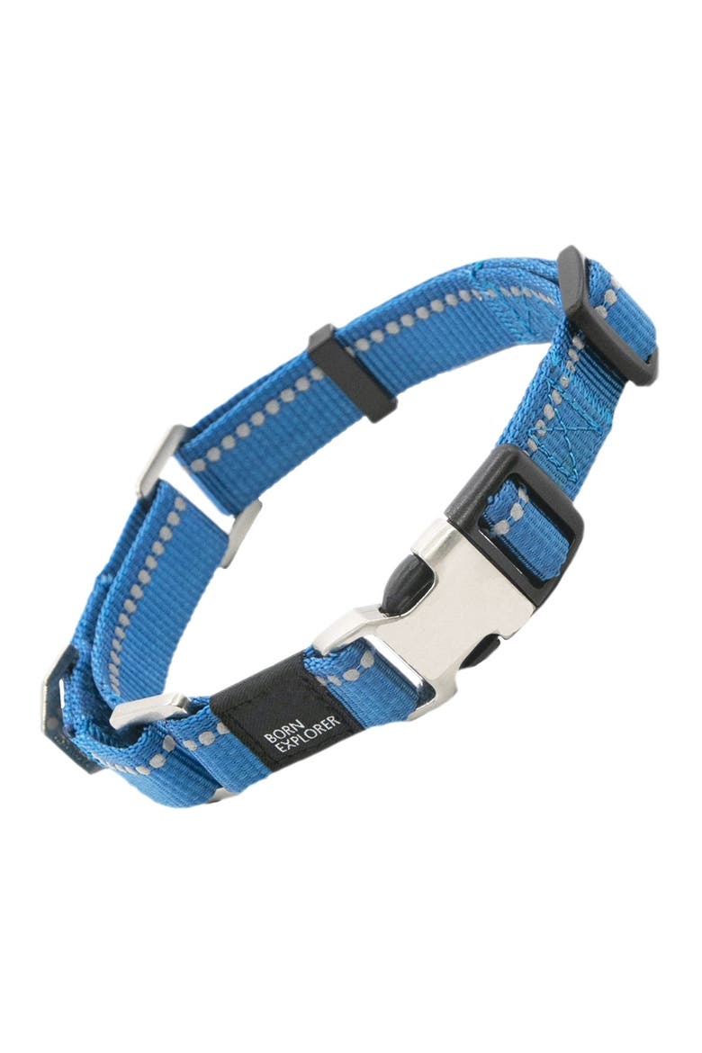 'Advent' Outdoor Series 3M Reflective 2-in-1 Durable Martingale Training Dog Leash & Collar - Large, Alternate, color, BLUE