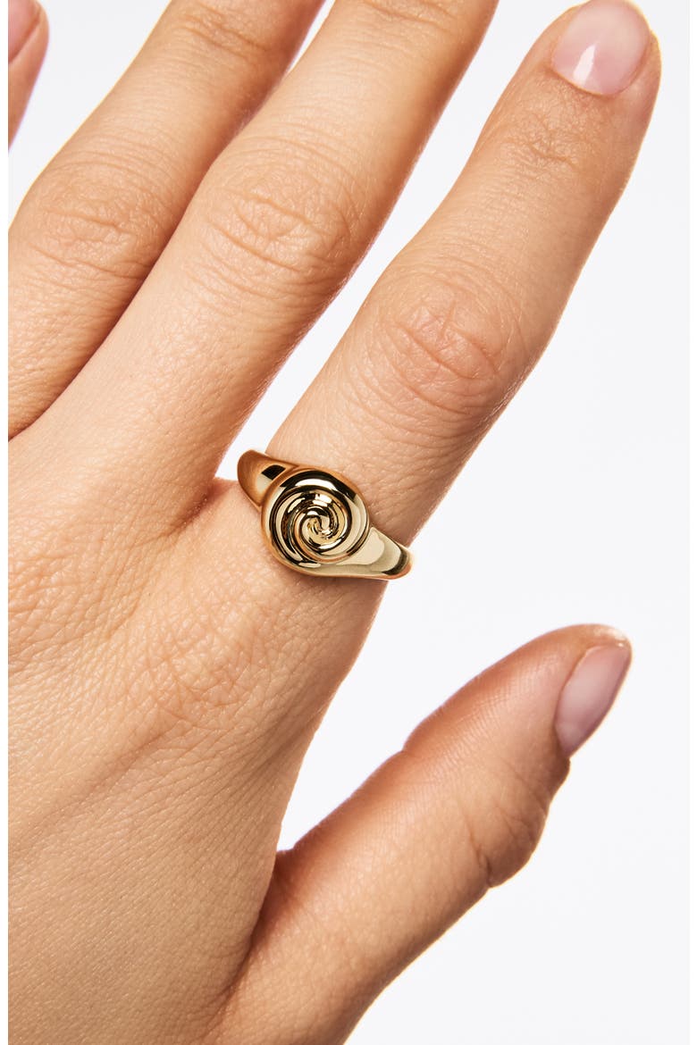 Gold Signet RIng - Ariel Ring, Alternate, color, Gold