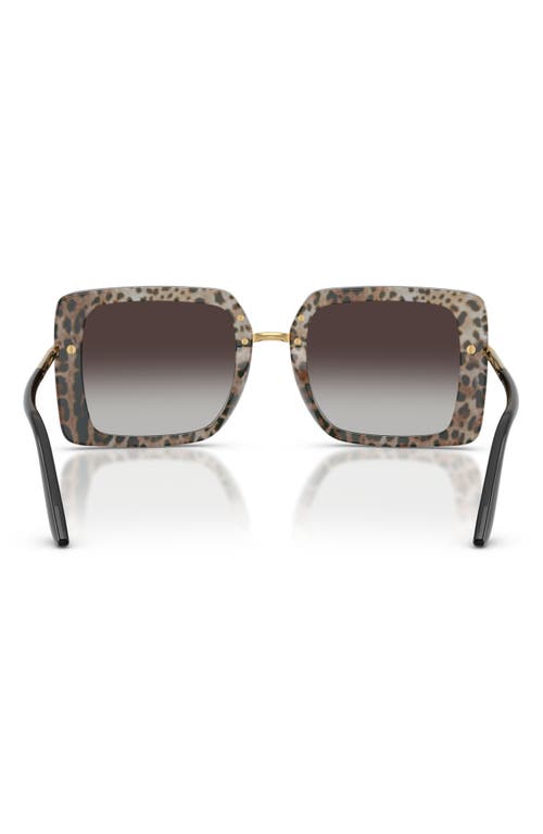 Dolce & Gabbana Dolce&gabbana 52mm Gradient Square Sunglasses In Multi