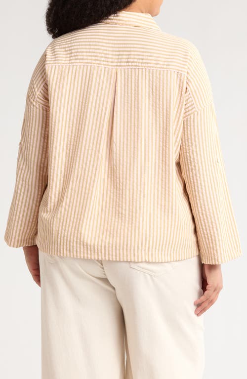Max Studio Stripe Top In Blush