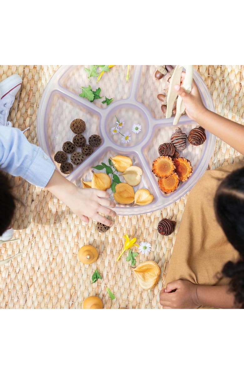 Kaplan Early Learning Company Loose Parts Sorting Trays - Set of 4 - Clear, Alternate, color, Clear