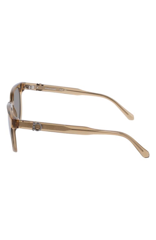 Ferragamo 53mm Round Sunglasses In Transparent Sand