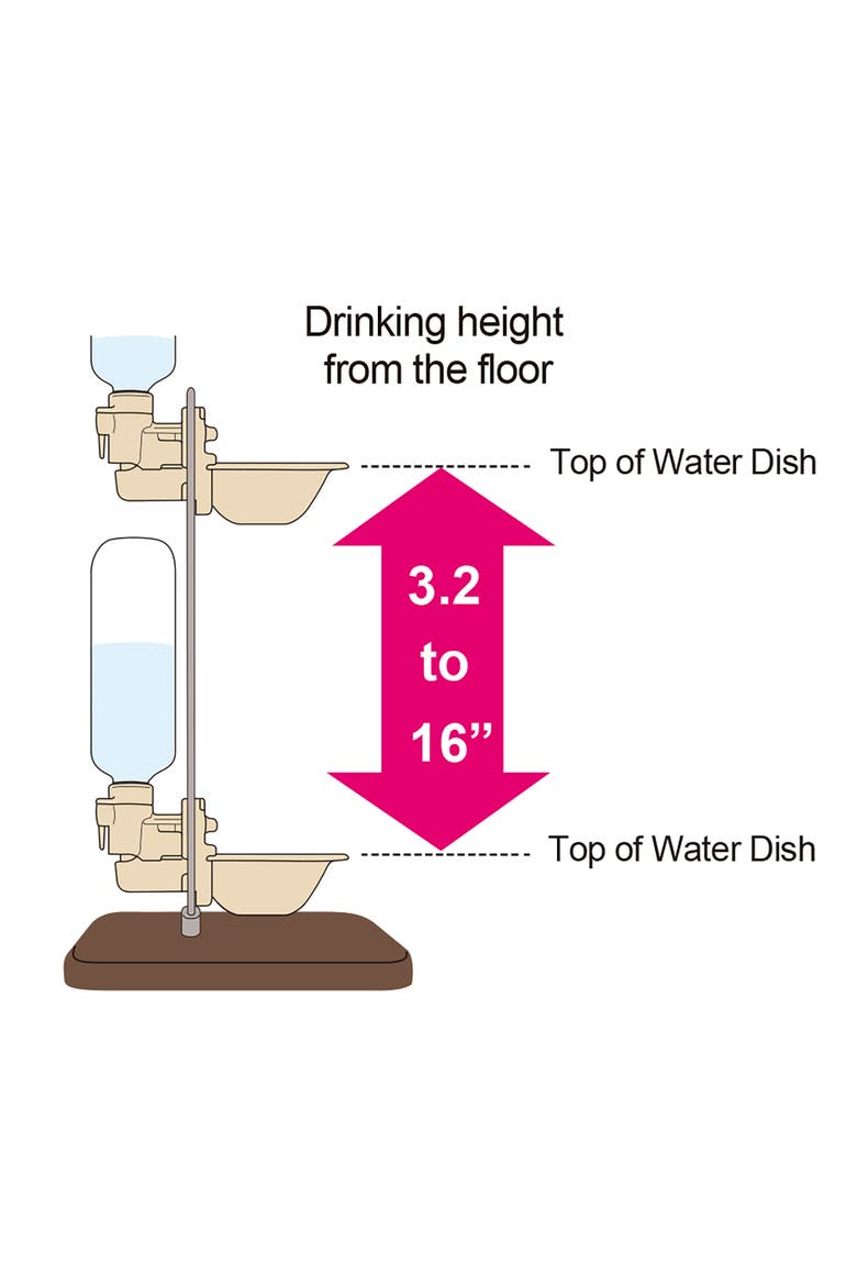 Water Stand for Pet Rehydration Station, Alternate, color, Multicolored