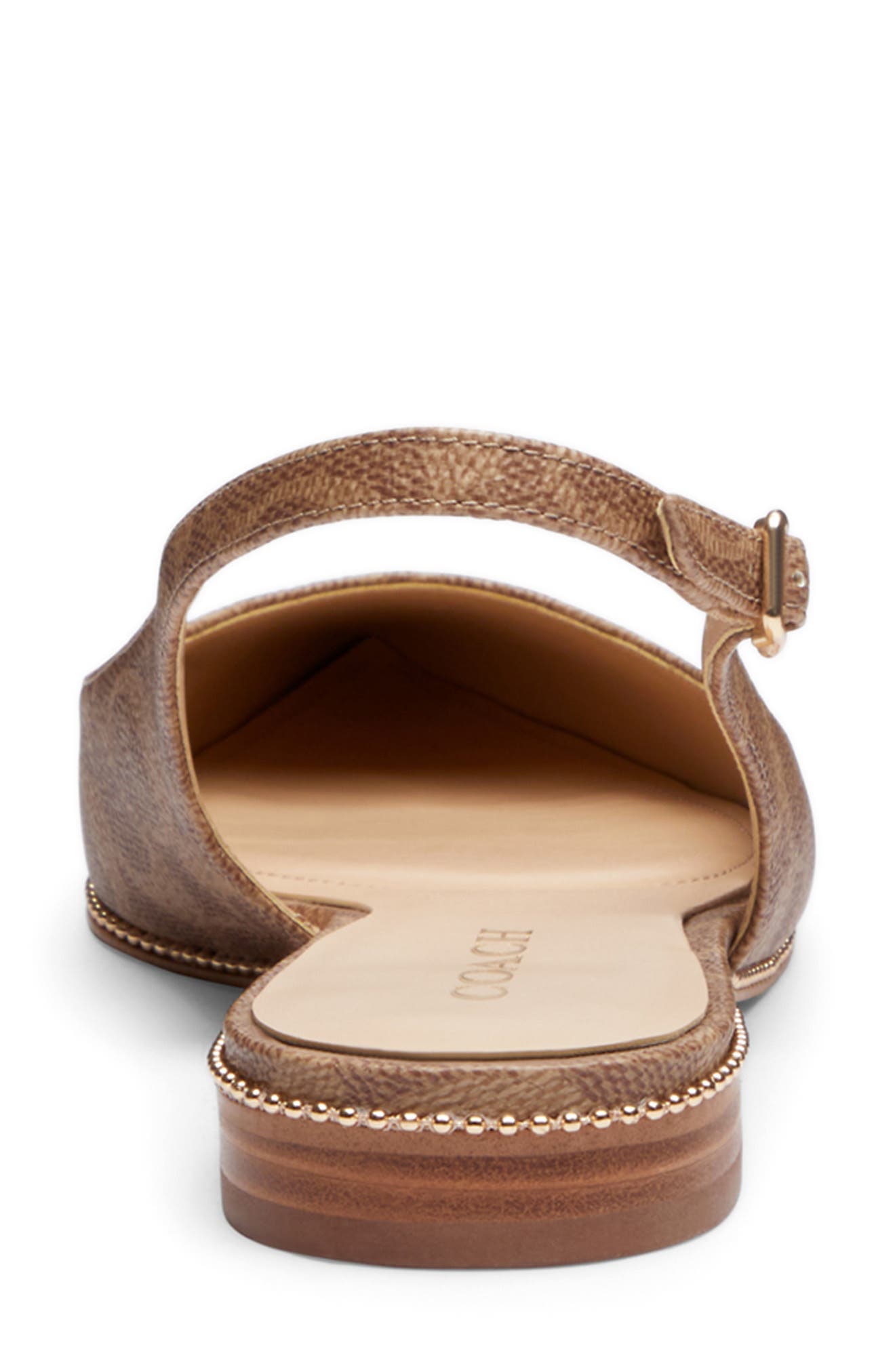 COACH Claire Slingback Pointed Toe Flat, Alternate, color, Tan