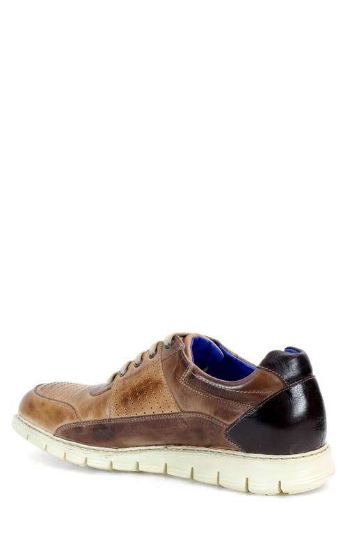 Bed Stu Fairman Sneaker In Cold Brew Rustic