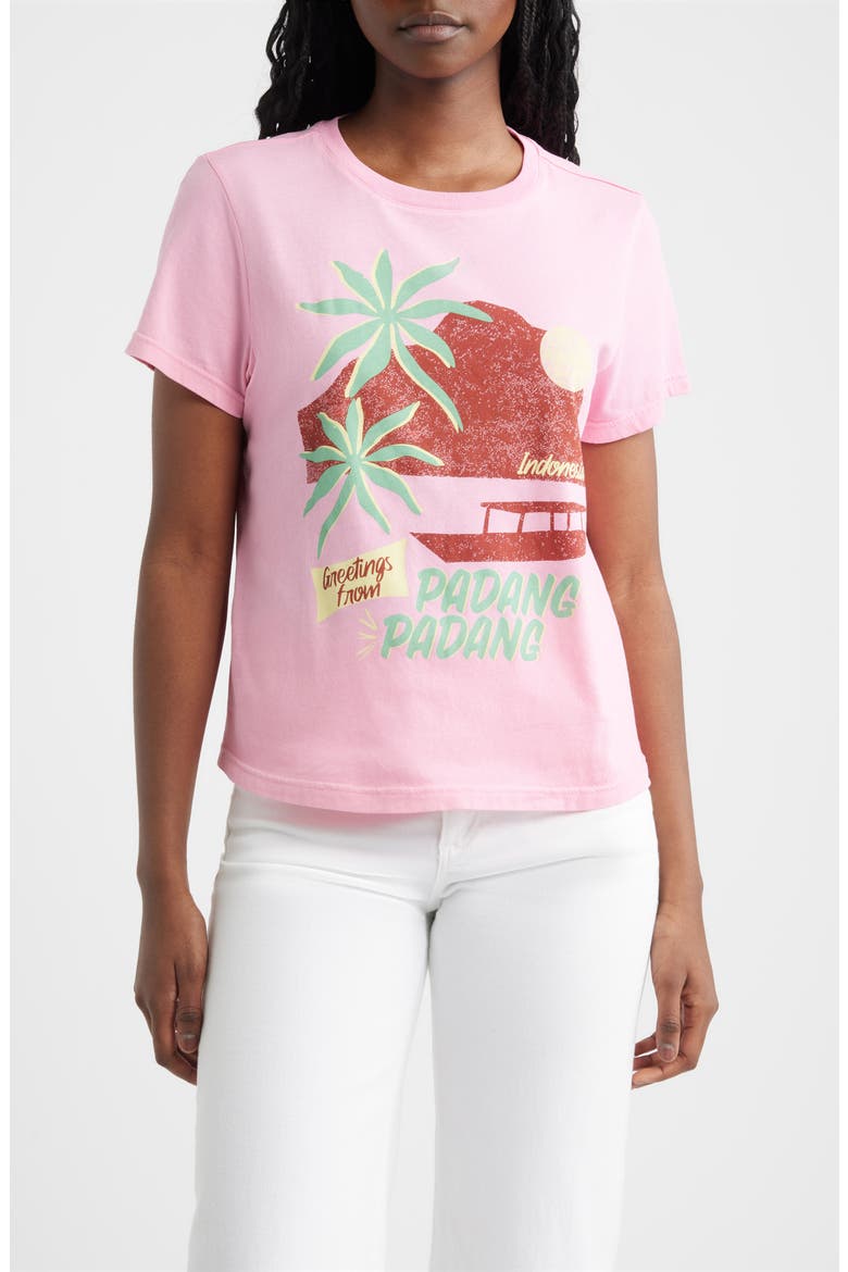 The Classic Crew Cotton Graphic T-Shirt, Main, color, PADANG
