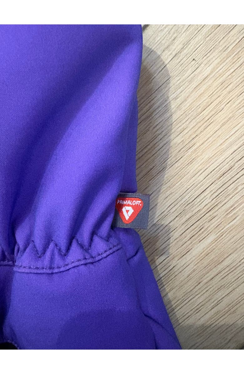 OOSC Clothing 1987 PrimaLoft<sup>®</sup> V2 Ski & Snowboard Mitt - Purple, Alternate, color, Purple, Black