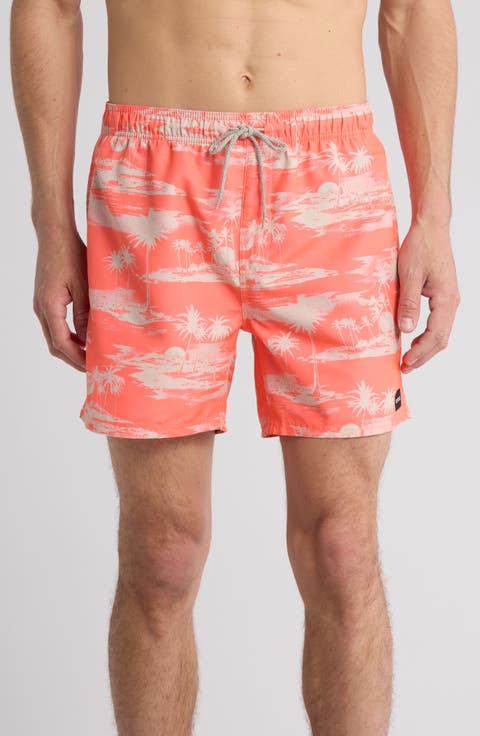 Dreamers Volley Swim Trunks