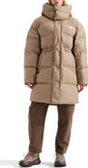 The North Face Oversized Water Repellent Puffer Parka