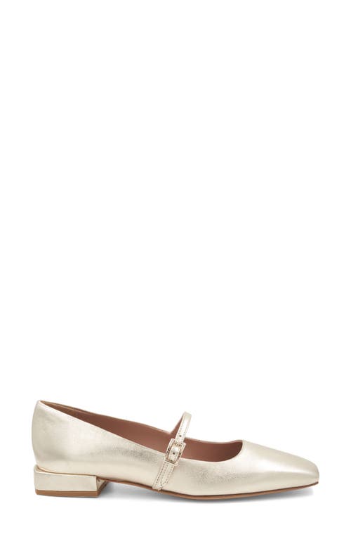 Bruno Magli Lucia Mary Jane Flat In Gold Metallic
