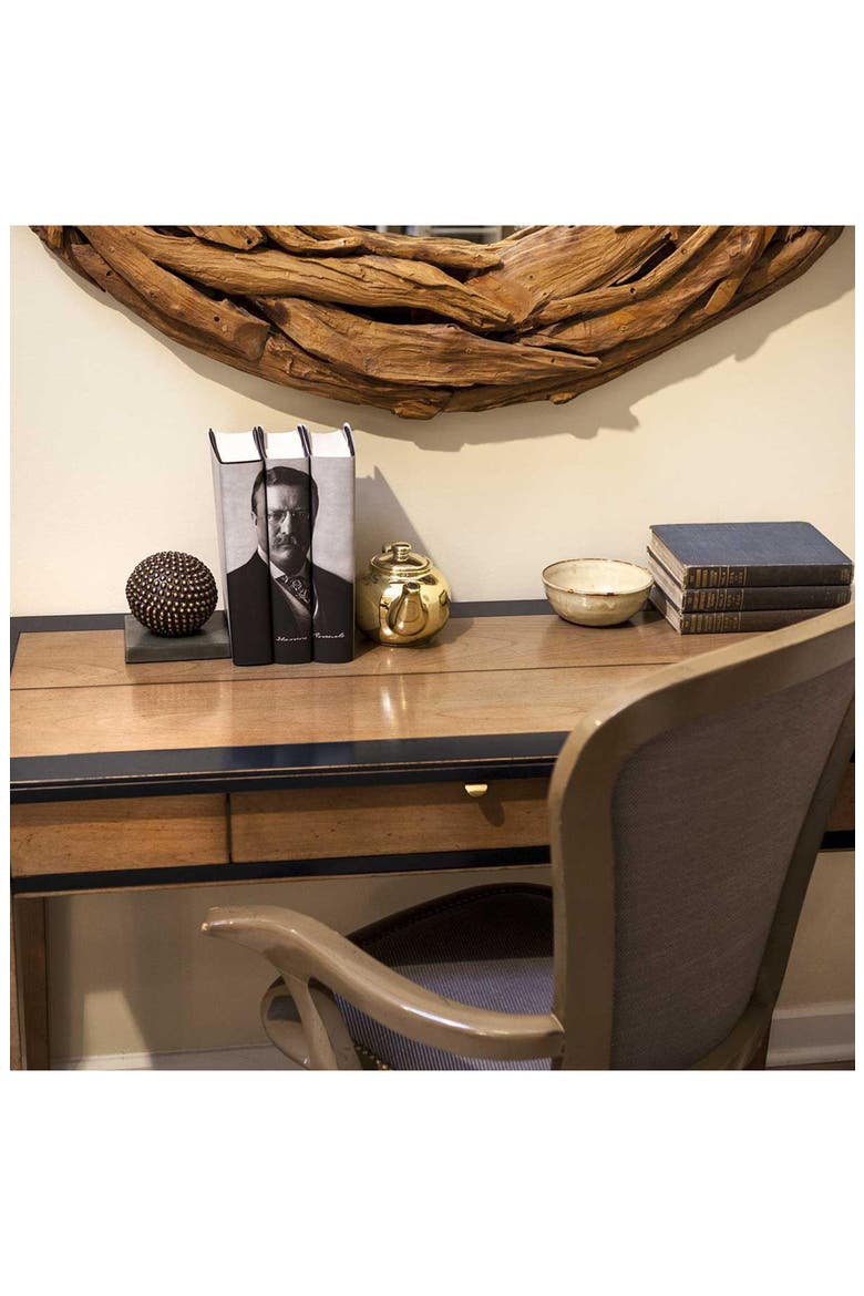Theodore Roosevelt Book Set, Alternate, color, Cool Neutral