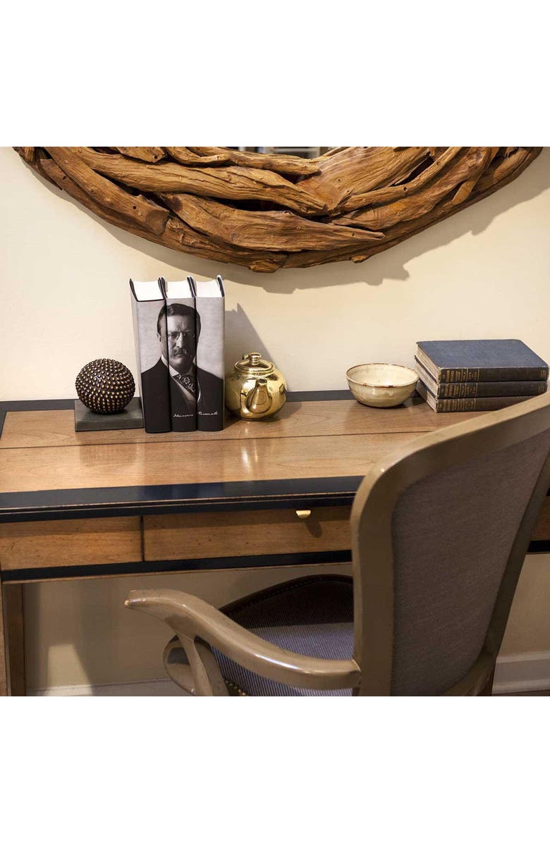 Juniper Books Theodore Roosevelt Book Set, Alternate, color, Cool Neutral