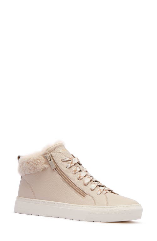 Frankie4 Miles Genuine Shearling Lined Sneaker In Neutral