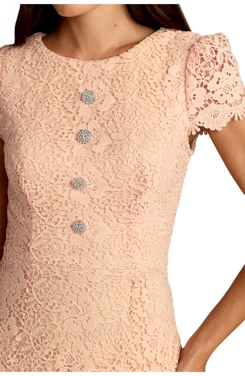 Mac Duggal Embroidered Lace Cap Sleeve Midi Dress, Alternate, color, Peach