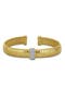 selected Yellow-Plated