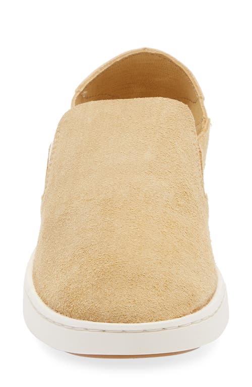 Olukai Pehuea Luxe Convertible Sneaker In Gold