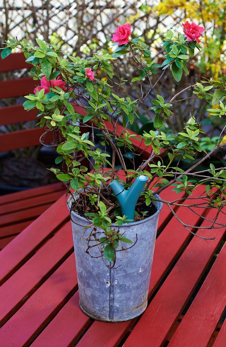 Parrot 'Flower Power' Wireless Plant Monitor, Alternate, color, 